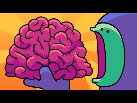 Brain Myths