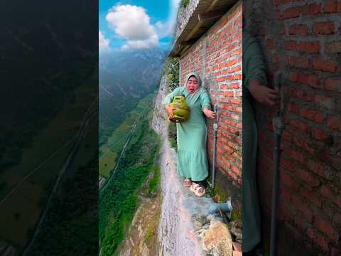 piadas da Sofia 😱😂 #catsoftiktok #catlovers #cat #cute #funnycats #catcartoon #fyp