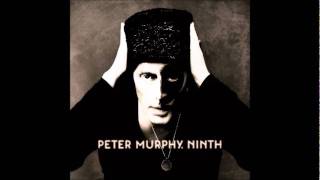 Peter Murphy - See Saw Sway