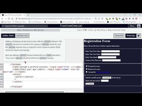 Learn HTML Forms by Building a Registration Form - Step 33