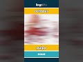 octopus - pulpo video thumbnail