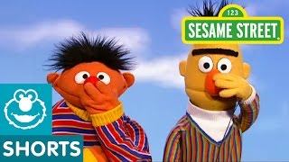 Sesame Street: Bert and Ernie Play Touch Your Face