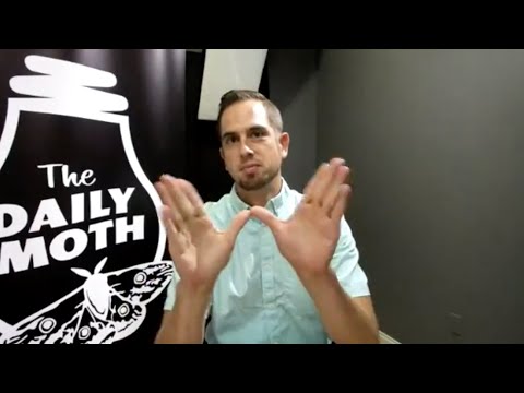 The Daily Moth 9-4-19 [LIVE]