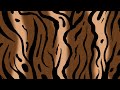 3 Hour Cute Tiger Aesthetic Pattern Animal Print Loop For Relaxing TV Pinterest Vibes 4K