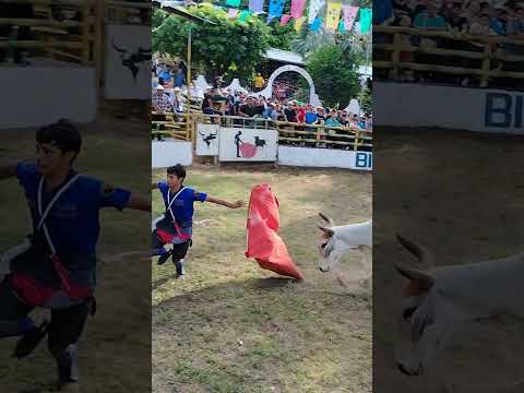 Toreo En Las Fiestas Patronales De San Luis Del Carmen