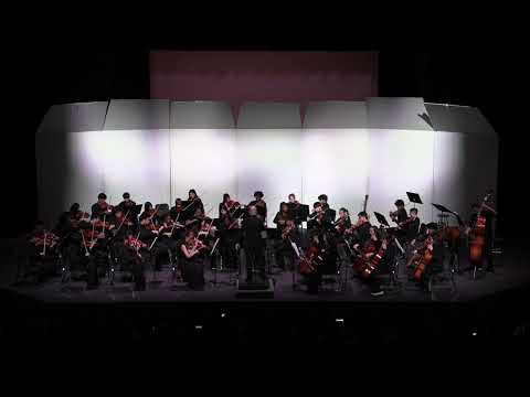 Symphony Orchestra | Armonico