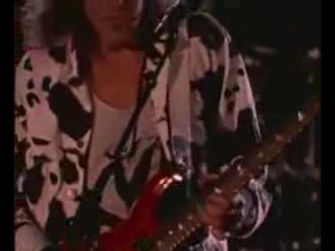 Damn Yankees Cat Scratch Fever Live Google Chrome