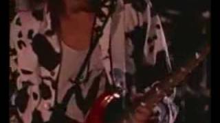 Download lagu Damn Yankees Cat Scratch Fever Live Google Chrome mp3