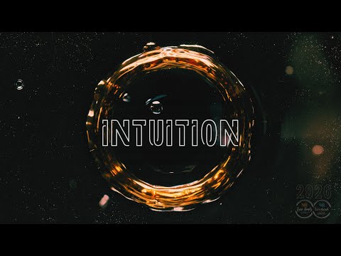 Intuition 2 - Wie eine innere Ampel (1.2.2026)