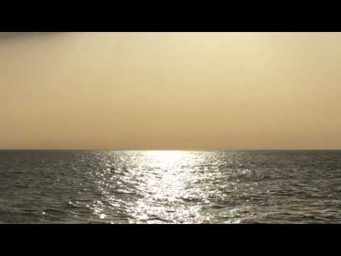 Sunset with dolphins in Ibiza close to Es Vedra (2016 summer)