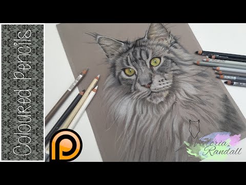 Photorealistic Cat in Pastel Pencils