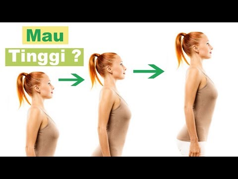 download lagu mp3 mp4 Cara Meninggikan Badan Lewat Makanan, download lagu Cara Meninggikan Badan Lewat Makanan gratis, unduh video klip Cara Meninggikan Badan Lewat Makanan