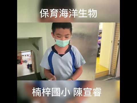 楠梓國小 麥塊SDGs聯合國永續發展目標 陳O睿-麥塊SDGs程式競賽-111學年第一學期