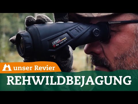 Rehwildbejagung im Herbst | weibliches Rehwild erlegen | Ricke und Kitz | unser Revier  | # 38
