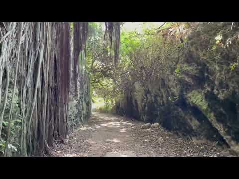 Walking the Bermuda Railway Trail