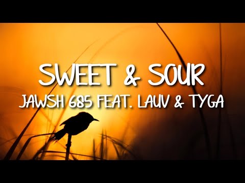 Jawsh 685 - Sweet Sour feat. Lauv & Tyga (Video Lyrics)