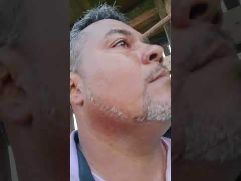 Corralejas de sopla viento bolívar 2025