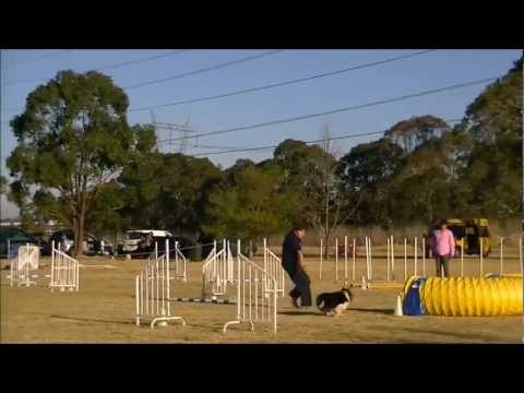 Elga Club Challenge FOA 2012.wmv