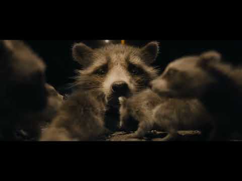 Rocket Discovers he is a Raccoon - Guardians of the Galaxy 3 Clip HD