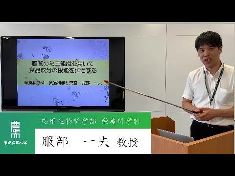栄養科学科　服部 一夫 教授