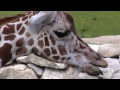 September At The Detroit Zoo