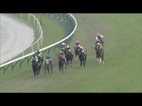 2021.11.21 Shumeigiku Sho (JPN) - Otaru Ever