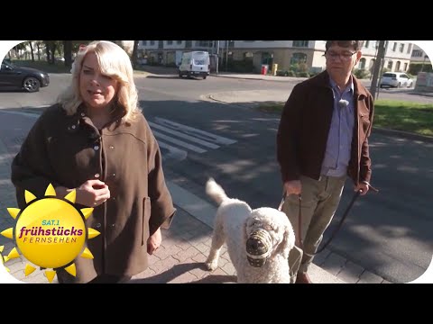 Hunde-Horror - aggressiver Hund statt lieber Familienhund | SAT.1 Frühstücksfernsehen