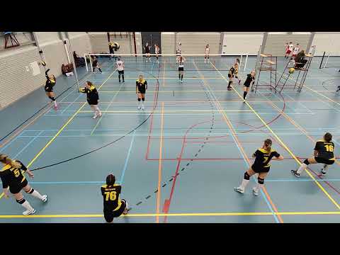 Gemini DS2 - VVAB DS1