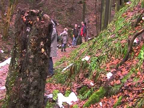 Fotoclub-Treffen in Erlenbach am Main
