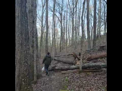 A good place to walk the hound. Trail's hard to see in this video, but its there.