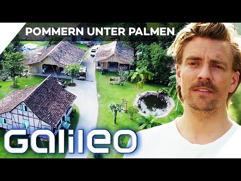 Half-timbered houses, brick, and gabled roofs: Brazil's most "German" city | Galileo | ProSieben