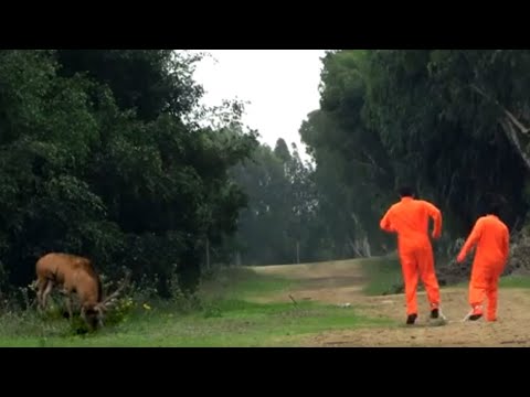 BLIND LOVE -NEW SINGLE thumbnail