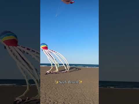 Muscat Night @Seeb beach 🏖️