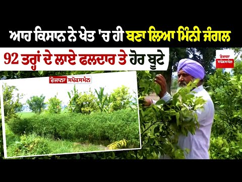 ਆਹ ਕਿਸਾਨ ਨੇ ਖੇਤ 'ਚ ਹੀ ਬਣਾ ਲਿਆ ਮਿੰਨੀ ਜੰਗਲ 92 ਤਰ੍ਹਾਂ ਦੇ ਲਾਏ ਫਲਦਾਰ ਤੇ ਹੋਰ ਬੂਟੇ ਬਾਕੀ ਇਲਾਕੇ ਨਾਲੋਂ ਇੱਥੇ...