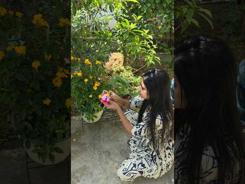 Sunday minivlog #viral #minivlog