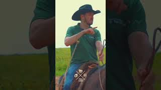 Como Gerar Crédito de Carbono com Seu Pasto? Descubra com ZF Pastagem!