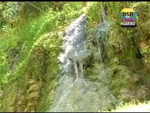 GRUPO ALEGRIA JINETES DEL AMOR MIX EL PAÑUELITO tochimusical