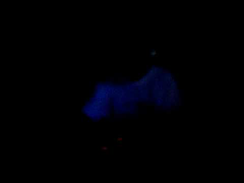 Zantho @ Sensation B&W 2008