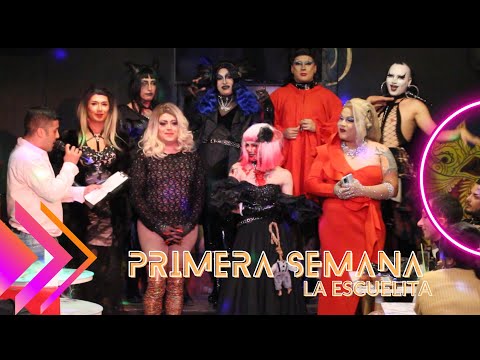 LA ESCUELITA FG / PRIMERA SEMANA - CANAL FARANDULA GAY
