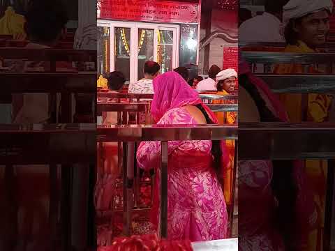 Mohan Baba ke Divya Darshan wolf Holi Wale Ki Jay Bhole Jay Dwarkadhish ke Jay Jay Shri Radhe Shyam