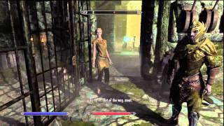 preview picture of video 'Skyrim Playthrough - Part 33 - Sneaky Sneaky Syric'