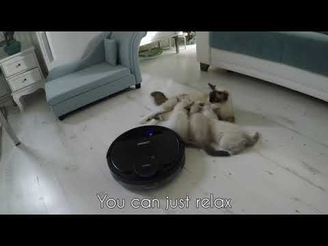 Review of Ecovacs Deebot ozmo 930 robot vacuum cleaner by cats
