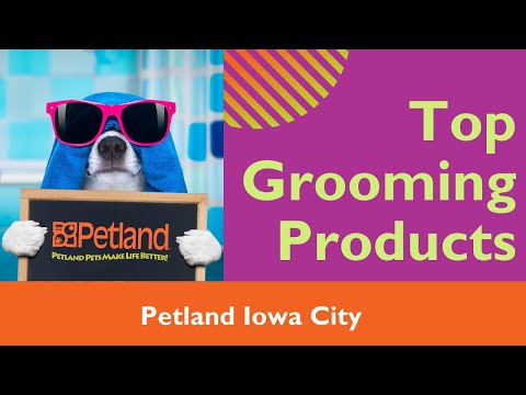 Top Dog Grooming Products