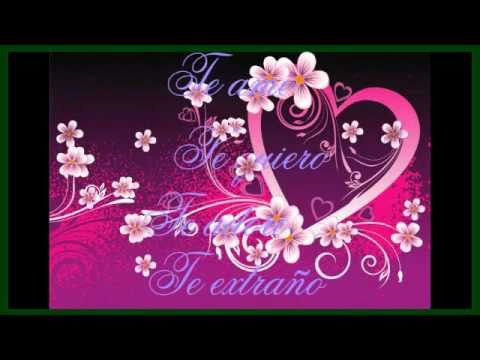 Palabras de Amor - Nydia Caro Videoclip  HQ avi.