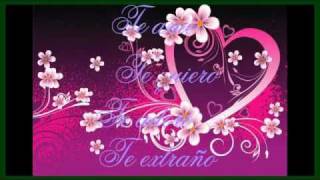 Palabras de Amor - Nydia Caro Videoclip  HQ avi.