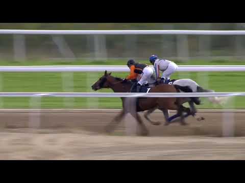 2018.09.23 Nickes Minneslöpning (SWE) - Wonnemond