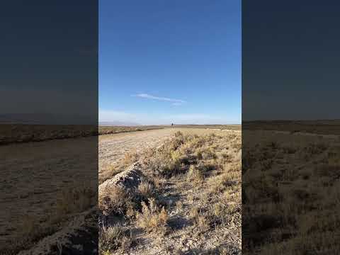 Maule M-5 Lunar Rocket landing (YouTube)