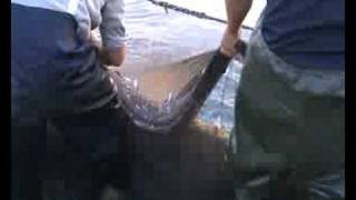 preview picture of video 'Pescarii din Vama Veche la job.'
