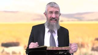 מסכת חולין דף כד - 8 דקות של לומדות ועמקות בדרך הלימוד הישיבתית [Hullin 24]