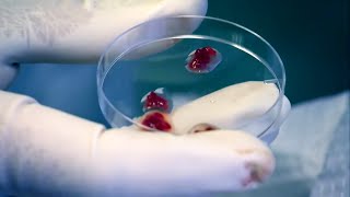 Re: [問卦] 人肉吃起來是什麼感覺？